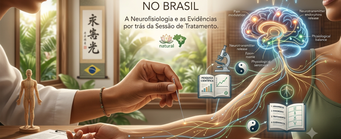 Acupuntura: mecanismos, indicações clínicas e o que esperar na primeira sessão